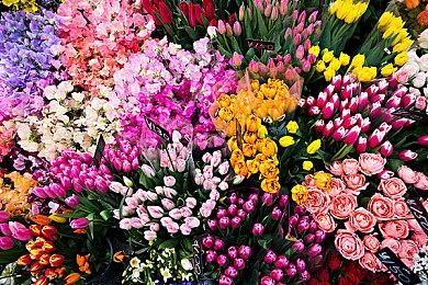 Take Two暗示R星会开发《荒野大镖客3》