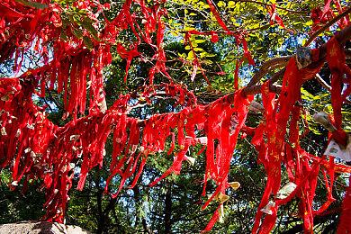 《漫威蜘蛛侠2》评分解禁时间公布：提前四天